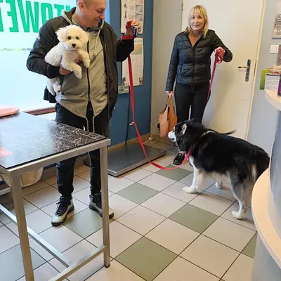 CITOWET PET WET CLINIC Dariusz Marciniak - Weterynarz Pabianice